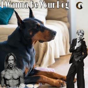 Iggy Pop & The Stooges - I wanna be your dog