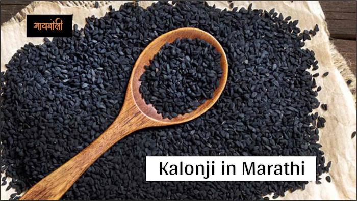 Benefits Of Kalonji In Marathi - कलोंजी ला मराठीमध्ये काय बोलतात