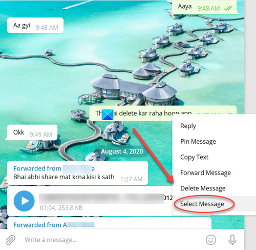 Finestra di chat di Telegram