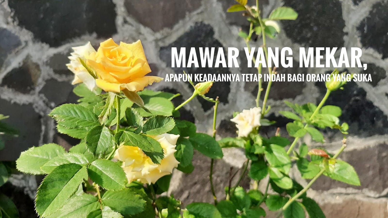 Viral quotes hidup apa adanya Keren - instQuotes