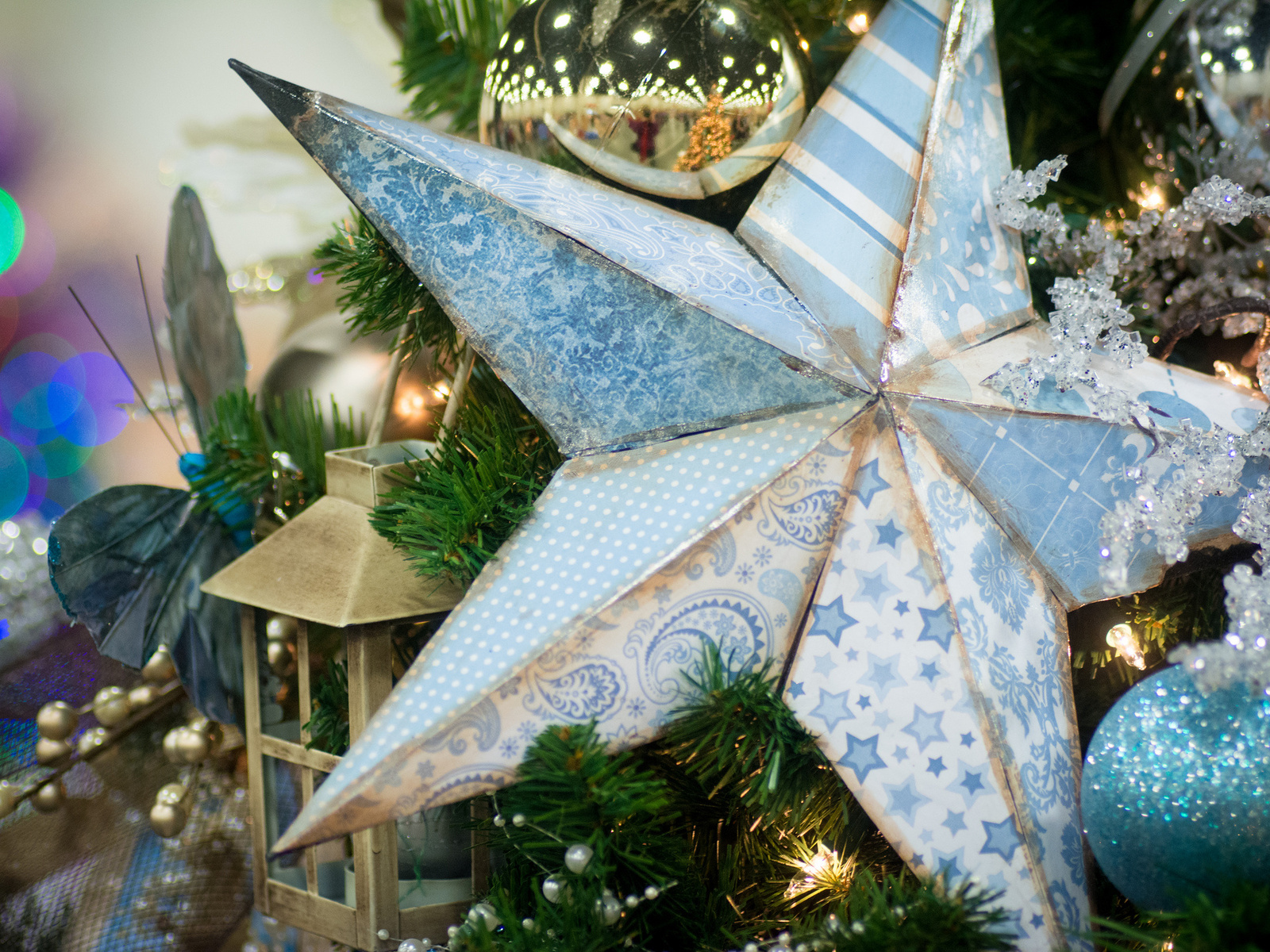 Fotografias de estrellas de navidad
