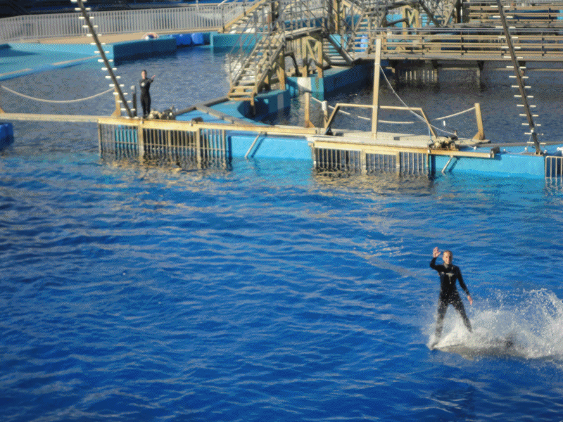 High-Quality L Oreal Preference Scene for Mobile High-Quality L Oreal Preference Scene for Mobile