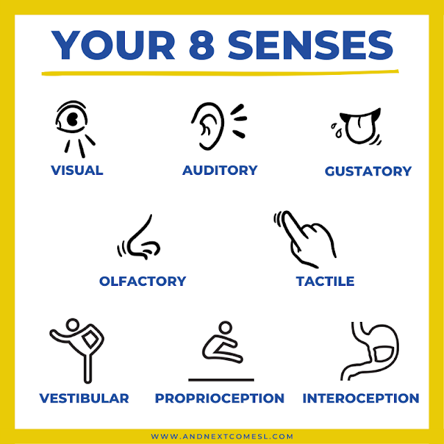 What are the 8 Sensory Systems? Your 8 Senses Explained And Next