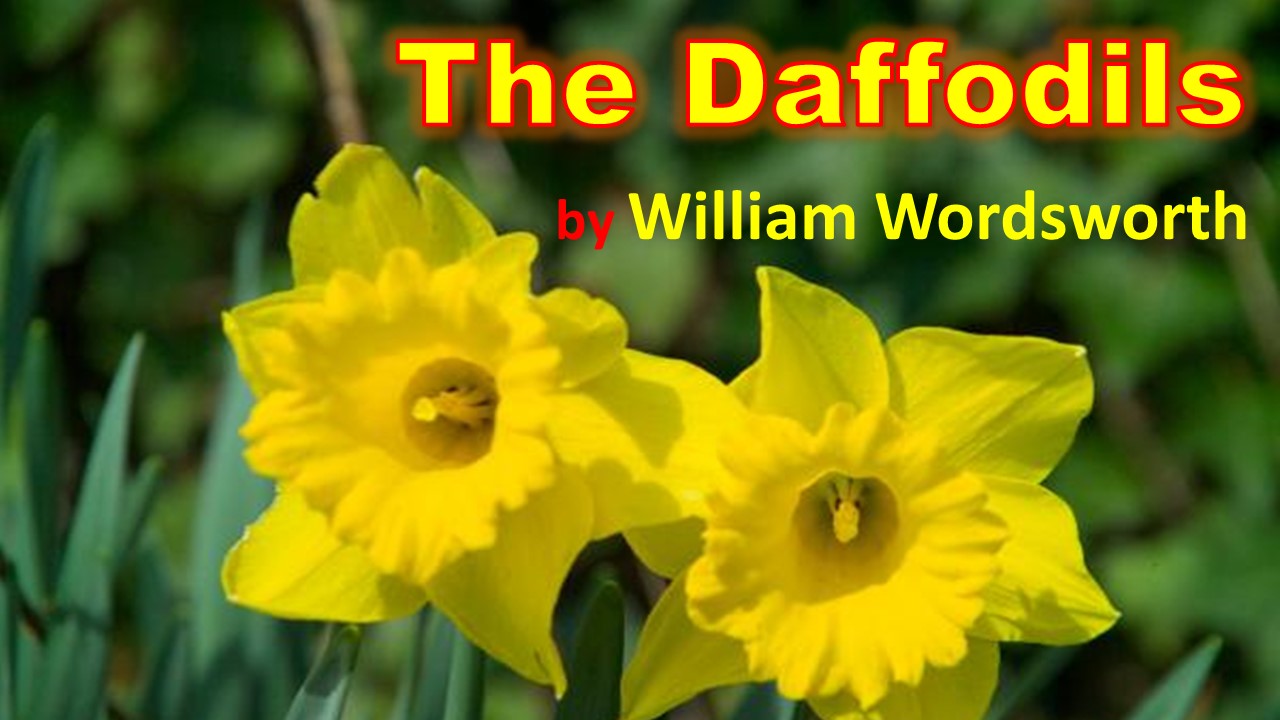 The Daffodils by William Wordsworth (Poem & Summary & Analysis)
