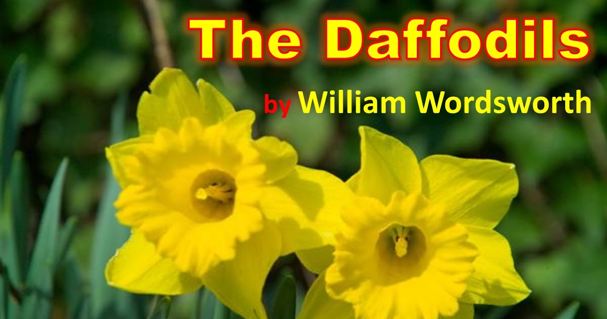The Daffodils by William Wordsworth (Poem & Summary & Analysis)