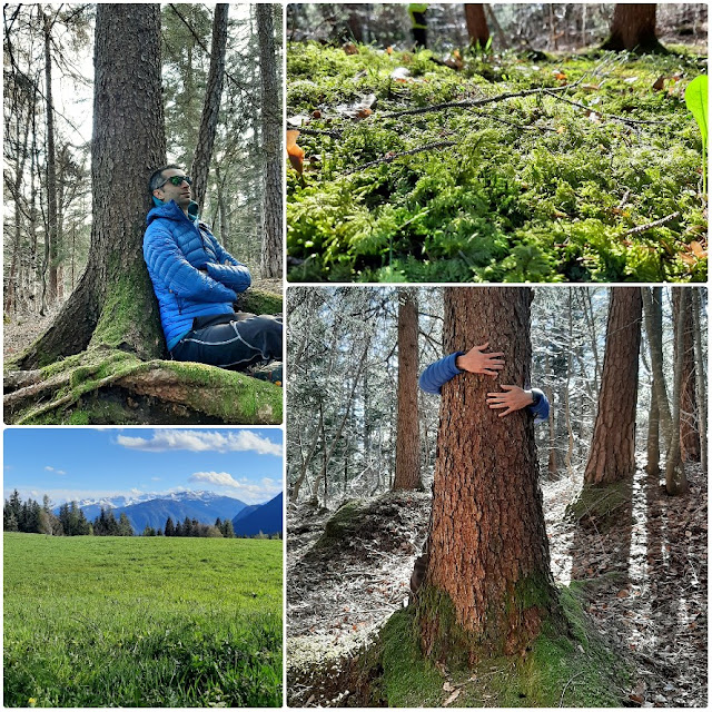 bagno di foresta in trentino