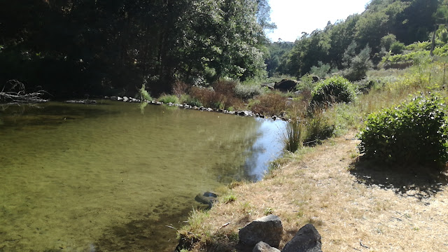 Praia Fluvial de Rega