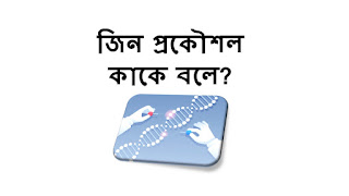 জিন প্রকৌশল কাকে বলে