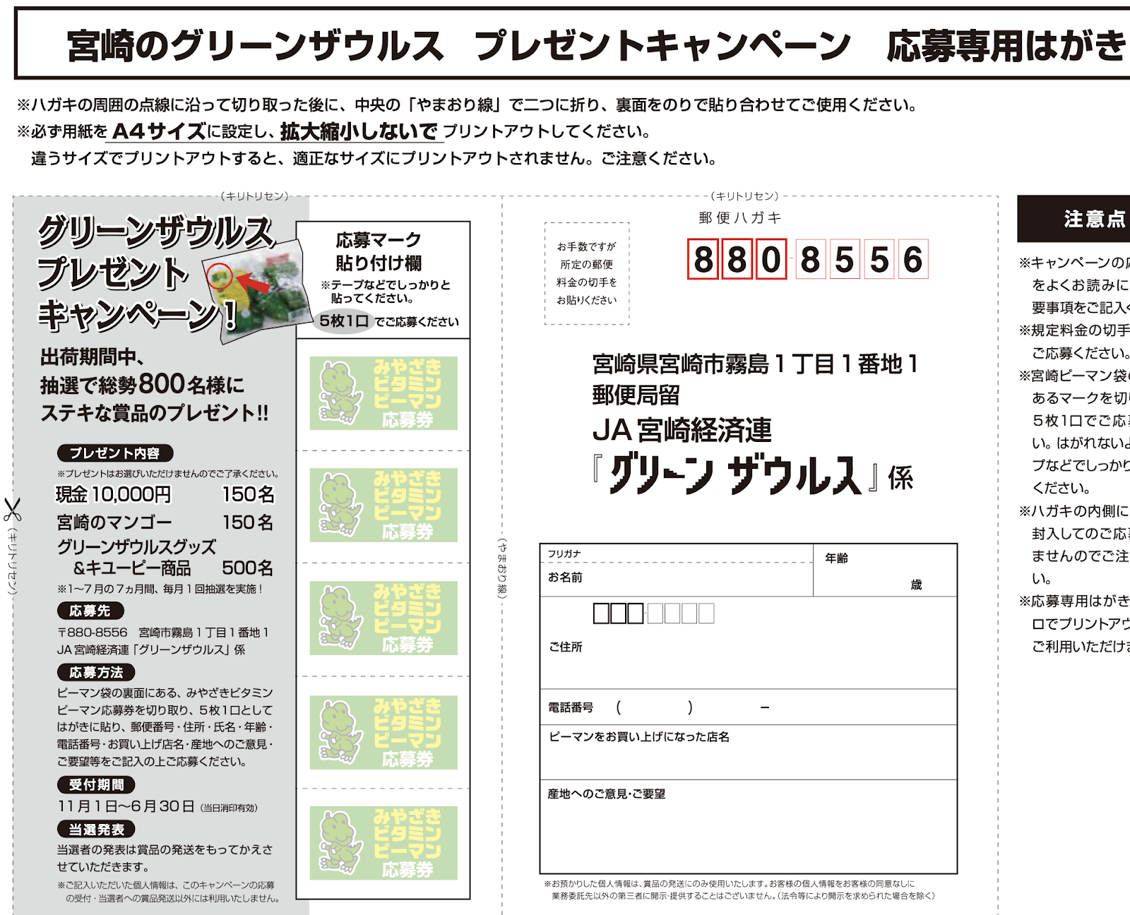 四苦八苦 宵の夢