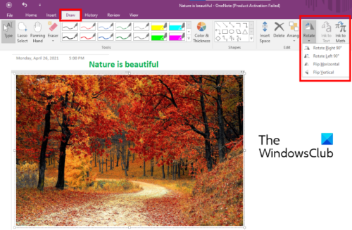 повернуть изображение в OneNote_2016