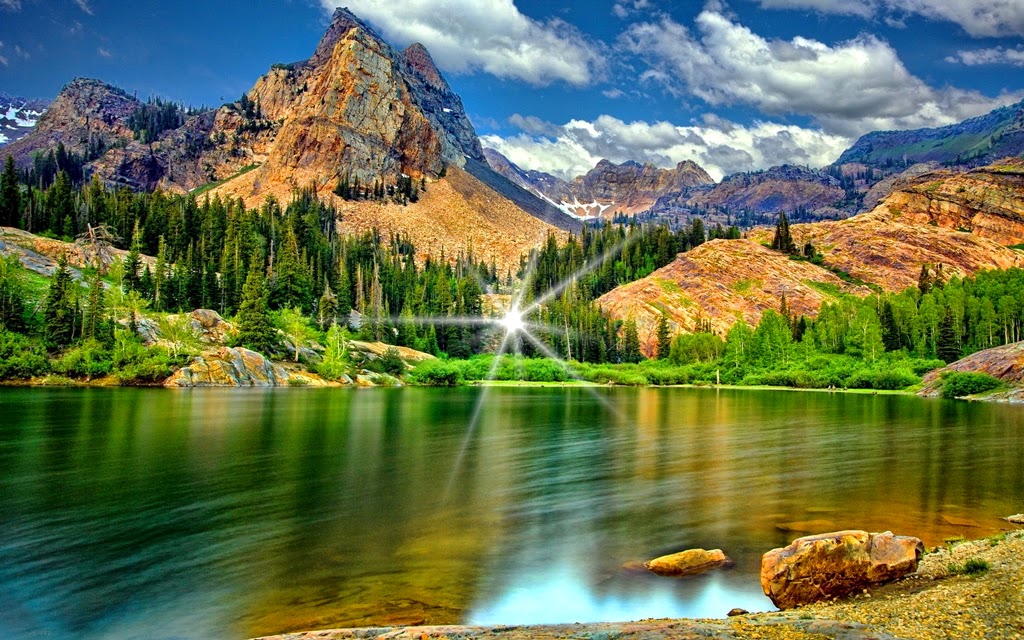 Gambar Pemandangan Bunga Yang Indah - KUMPULAN GAMBAR BUNGA YANG INDAH