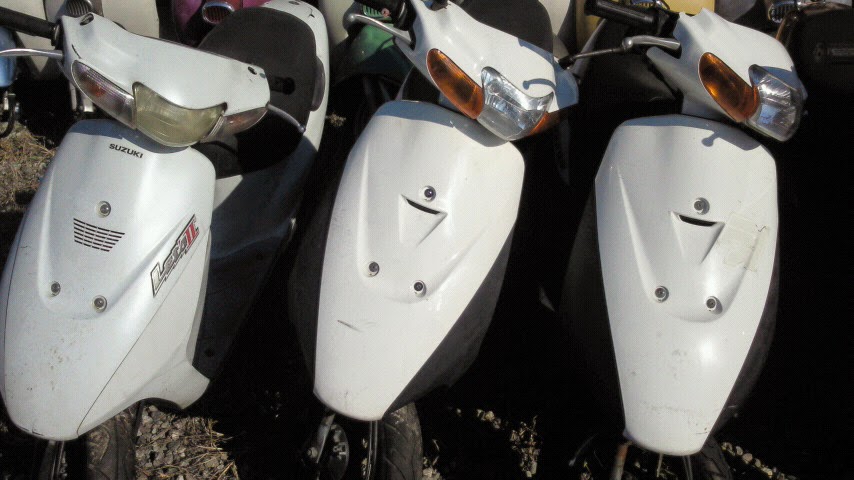 Suzuki sepia ca1ha