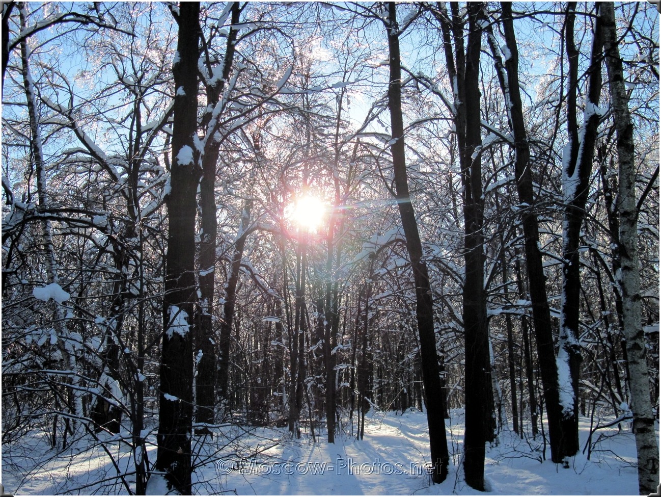 Russian Winter