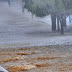 BOA NOTÍCIA / Tarde de Domingo com muita chuva em Várzea do Poço