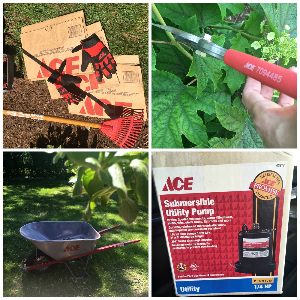 My Favorite Local Ace Hardware Store Reviewed