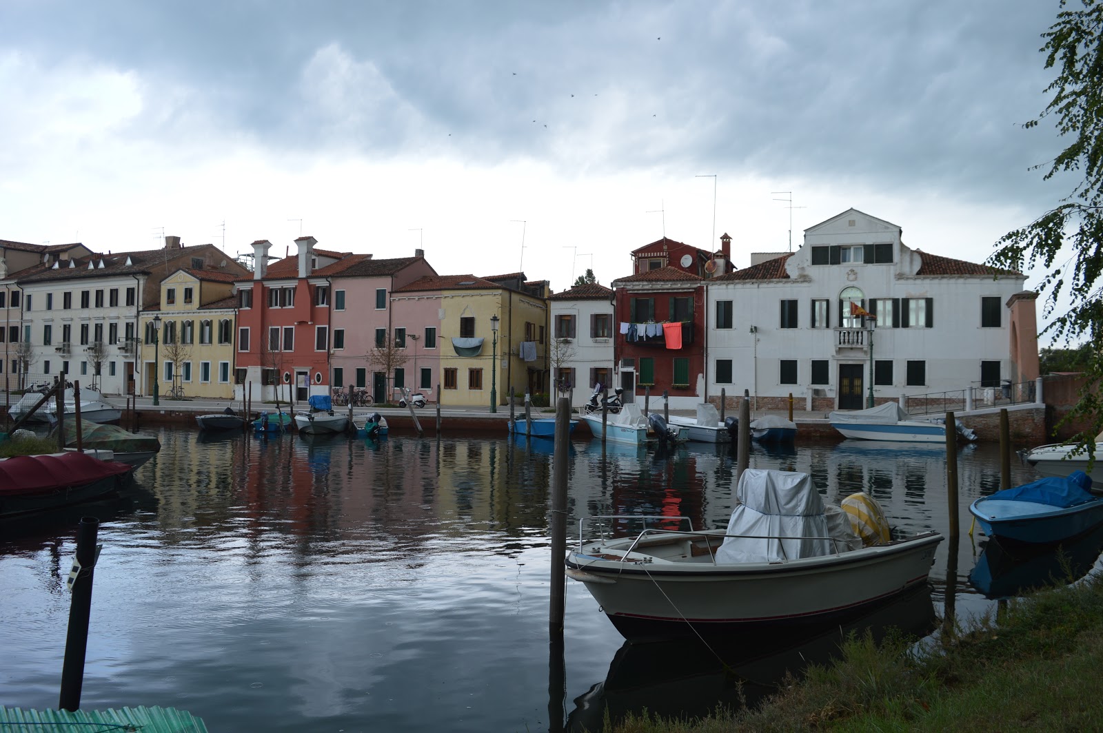 11 cose da vedere al Lido
