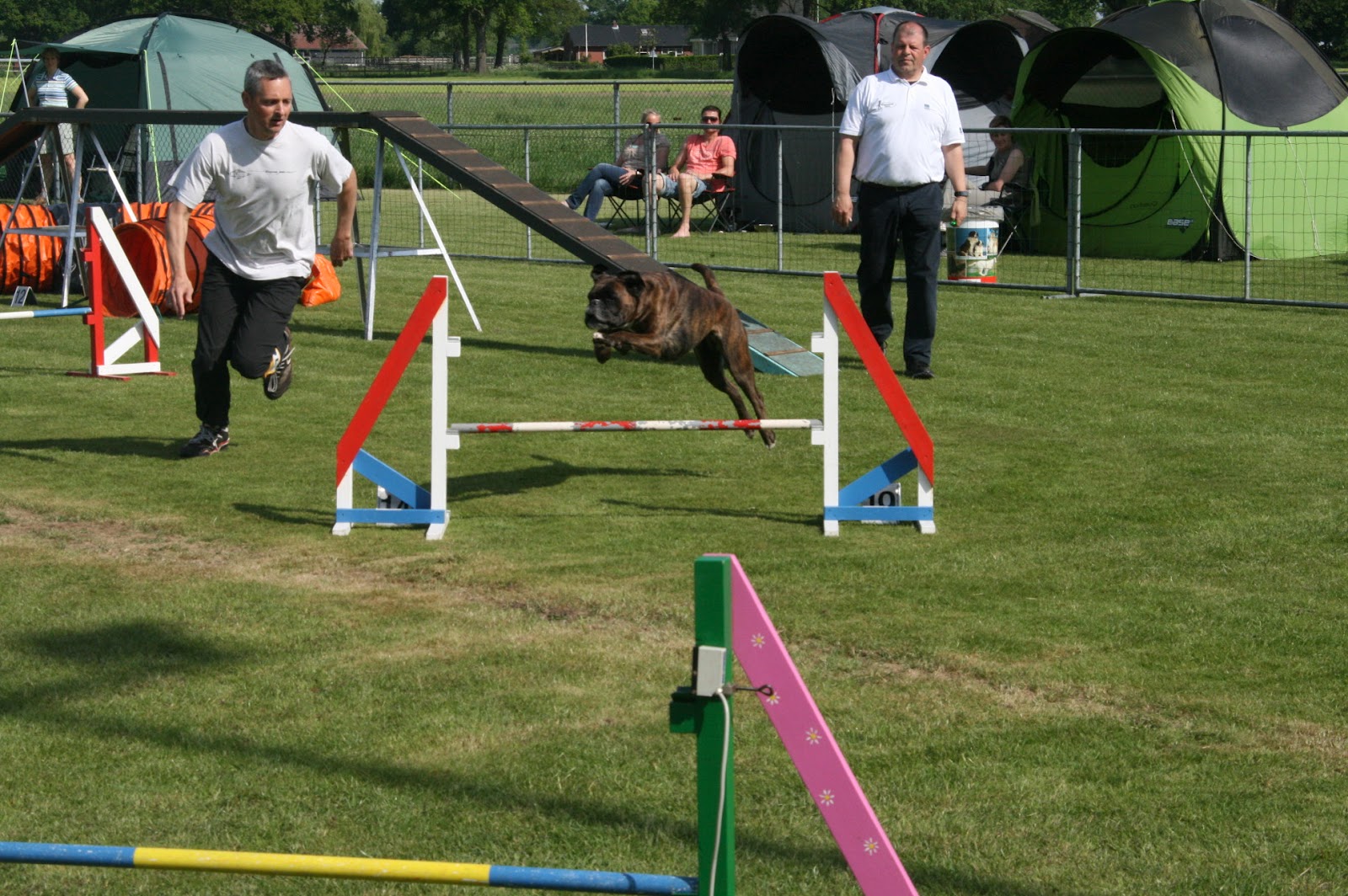 Casa Cujo 20/05/2012 Boxer Agility wedstrijd 2 te Enter, Overijssel(NL)