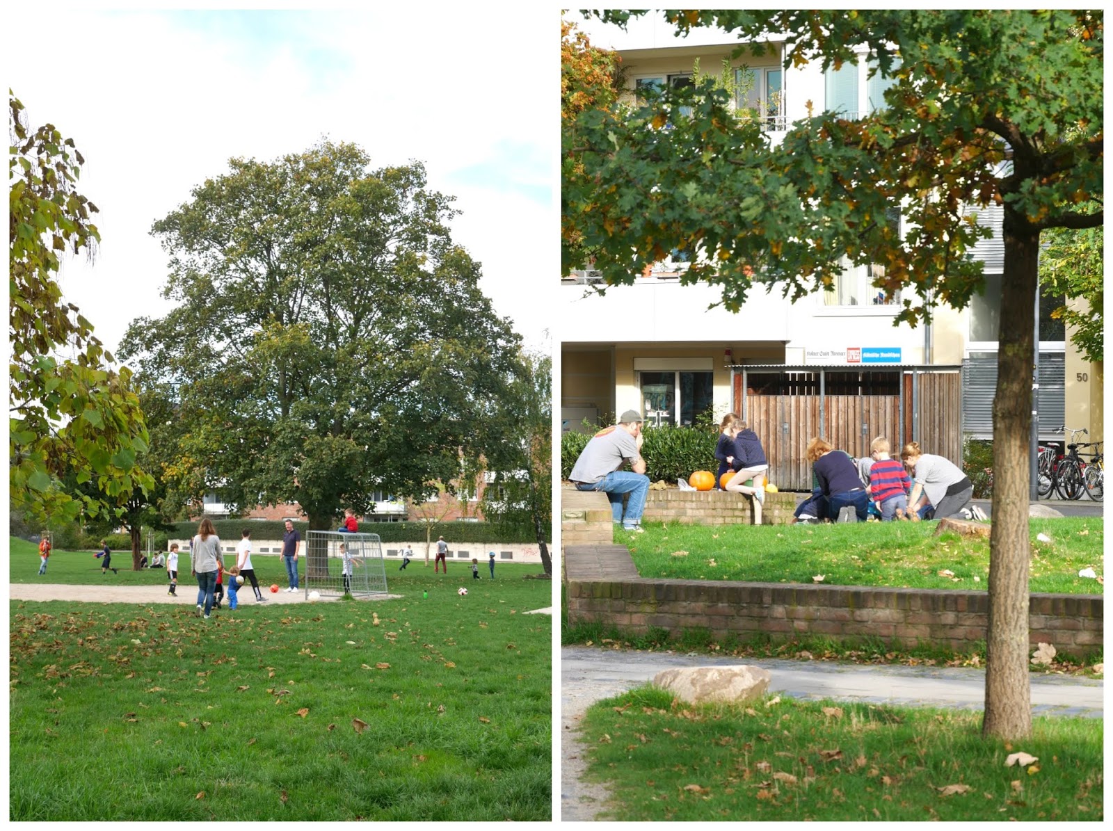 Calluna Magazin 2018