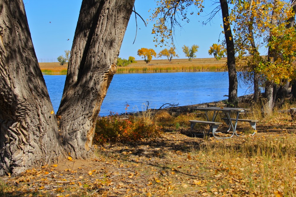 Rocky Mountain Arsenal National Wildlife Refuge Lake Ladora Loop