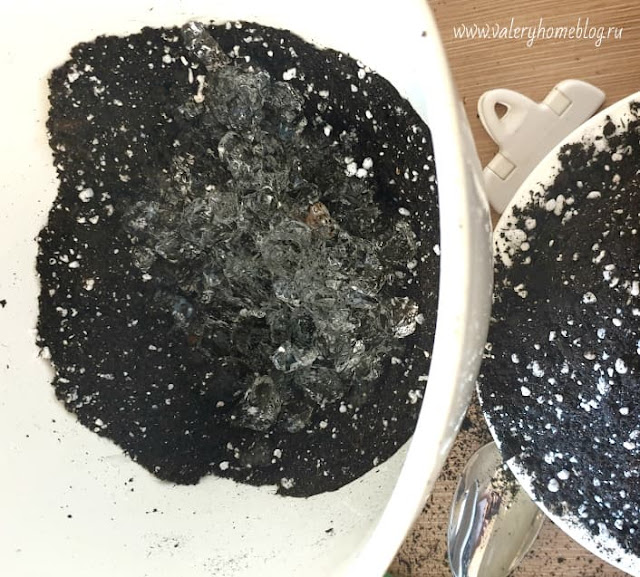 Гидрогель или вермикулит что лучше. Смотреть фото Гидрогель или вермикулит что лучше. Смотреть картинку Гидрогель или вермикулит что лучше. Картинка про Гидрогель или вермикулит что лучше. Фото Гидрогель или вермикулит что лучше Гидрогель или вермикулит что лучше. Смотреть фото Гидрогель или вермикулит что лучше. Смотреть картинку Гидрогель или вермикулит что лучше. Картинка про Гидрогель или вермикулит что лучше. Фото Гидрогель или вермикулит что лучше