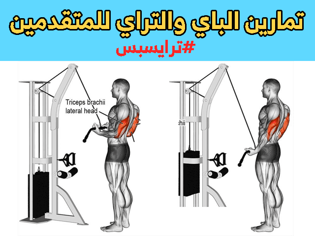 تمارين الباي والتراي بالصور