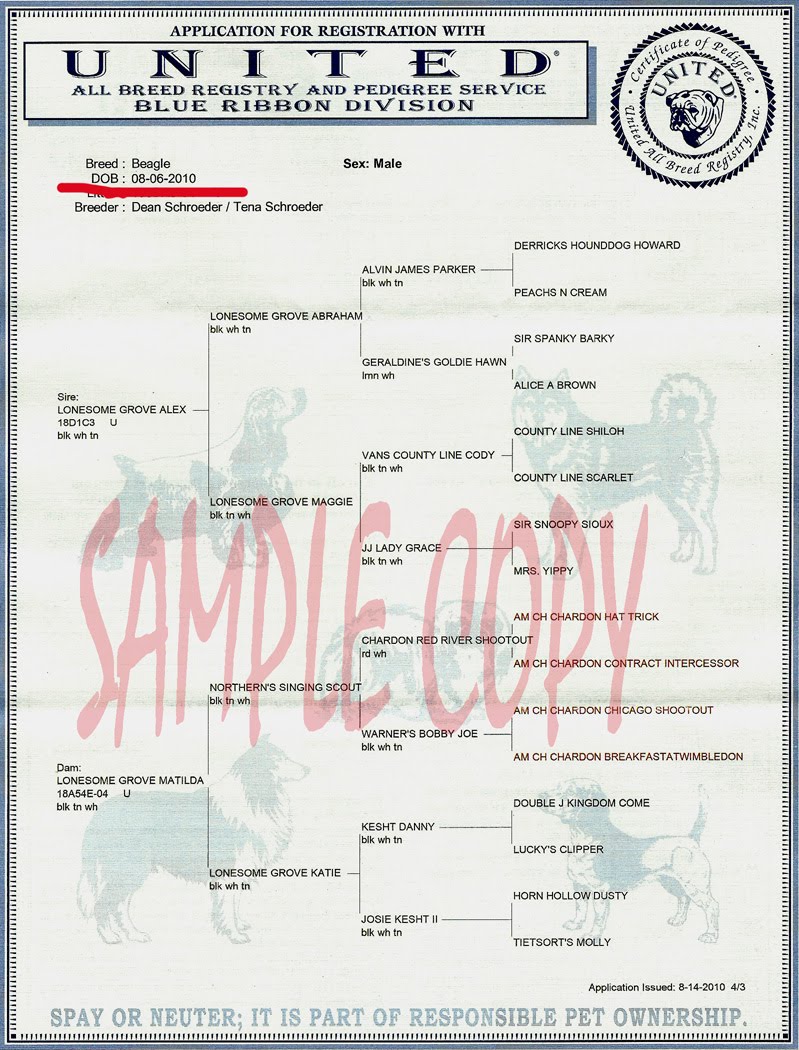 Lonesome Grove Beagles Registration