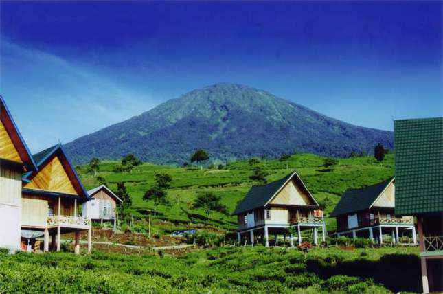 Wisata Kebun Teh Gunung Dempo Pagar alam
