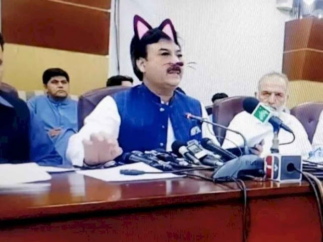 Transmiten en vivo por error a ministro con filtro de gatito