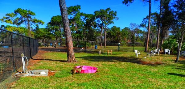 wickham park and campground, melbourne, florida