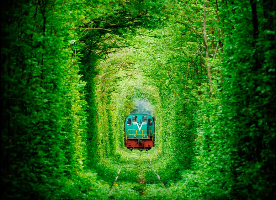6. Tunnel of Love in Ukraine - 20 Magical Tree Tunnels You Should Definitely Take A Walk Through