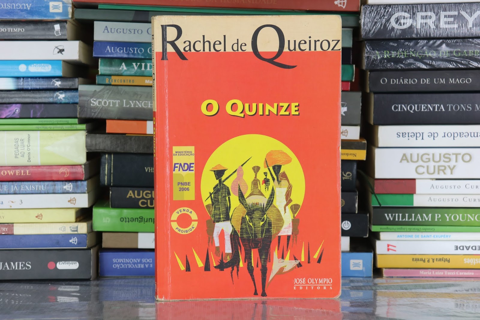 Resumo Do Livro O Quinze De