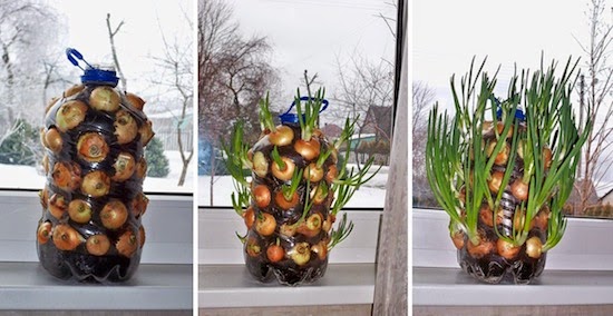 Великолепные идеи для детей на дачном участке.