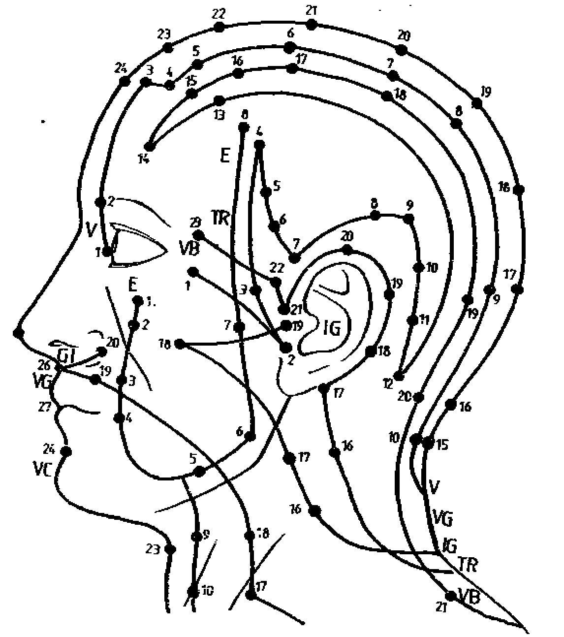 Точки на затылке. Меридианы головы человека схема и направления китайская медицина. Акупунктурные точки на голове человека схема расположения. Акупунктурные точки на голове человека атлас. Акупунктурные точки на ушной раковине человека.