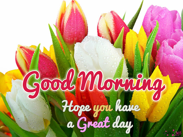 Good Morning Happy Sunday with Pink Flowers