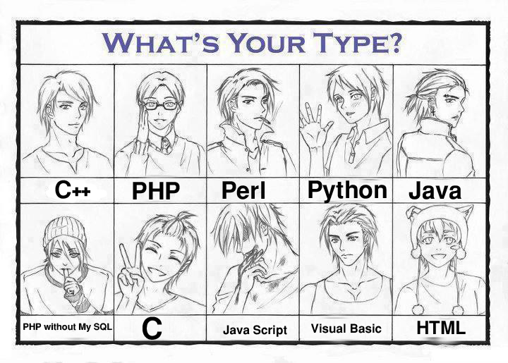 Types Of Programmers types-of-programmers
