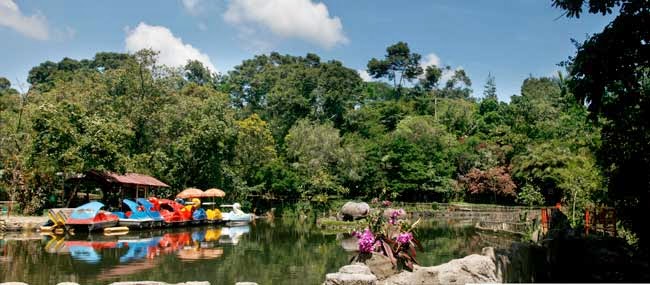 Kolam perahu dayung