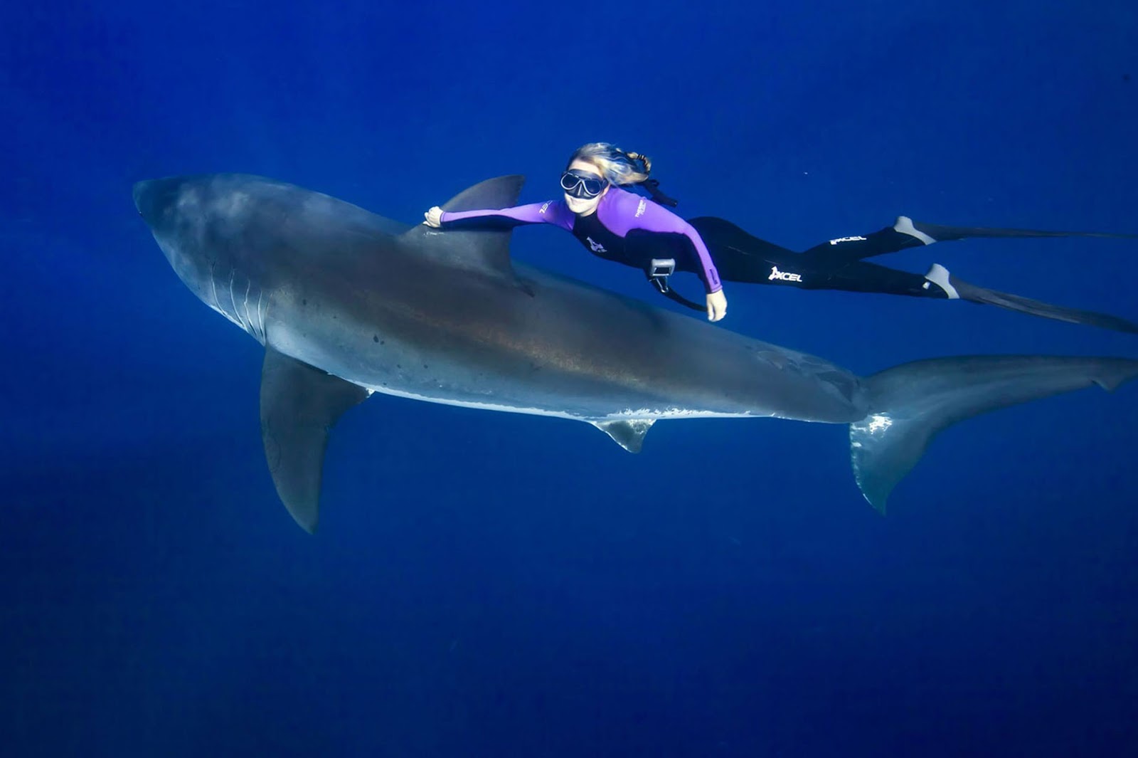 OCEAN RAMSEY