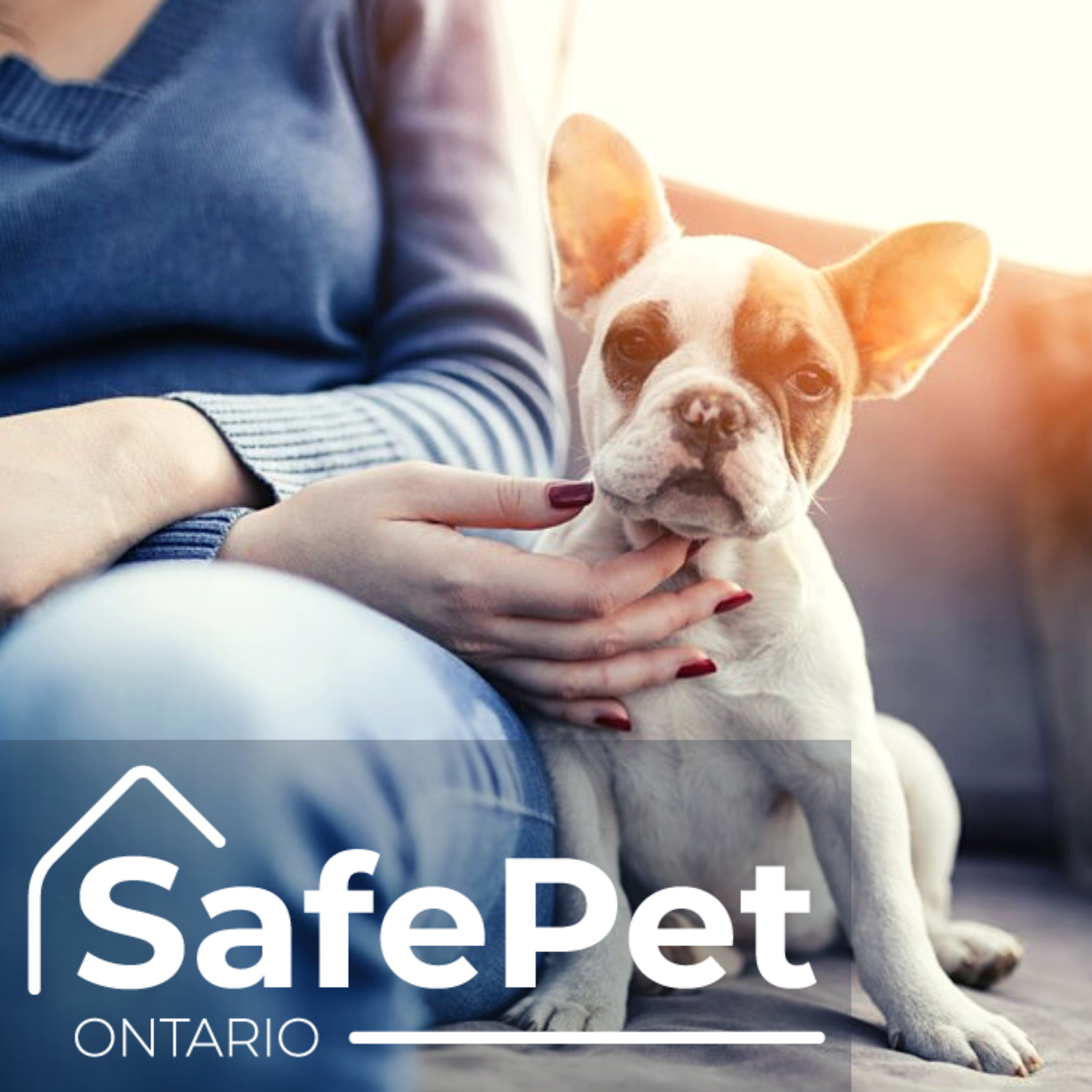 SAFE PET ONTARIO