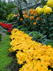 Allan Gardens Conservatory Fall Chrysanthemum Show 2014 orange mums by garden muses-not another Toronto gardening blog 