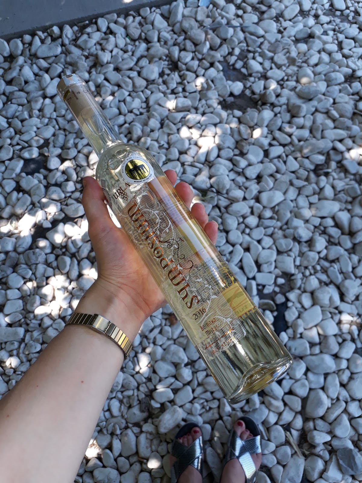 DOMİNO TŞLRI Şarabı sevmemiz, üzüme düşkünlüğümüzden değildi biz