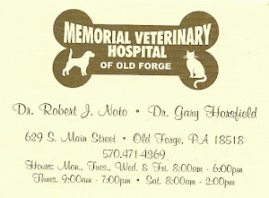 Memorial Veterinary Hospital of Old Forge