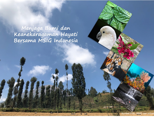 keanekaragaman-hayati-indonesia