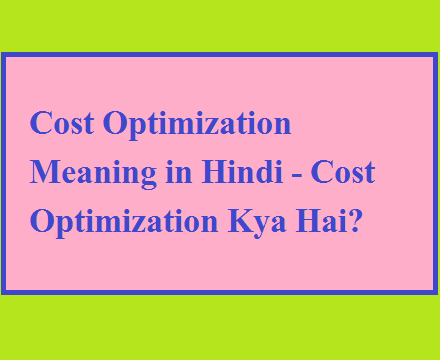Cost Optimization Meaning in Hindi - Cost Optimization Kya Hai? - Pari
