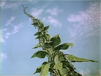 Jack And The Beanstalk 1952 Movie Image 28