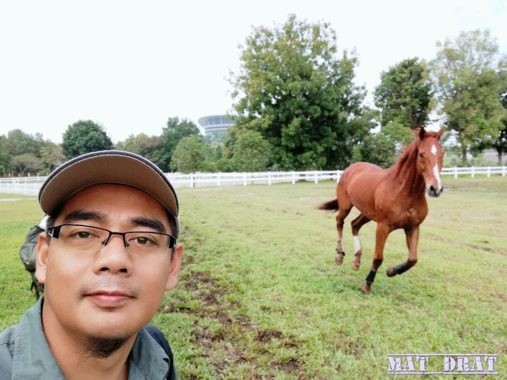 Mat Drat Taman Ekuestrian Putrajaya Jom Menunggang Kuda