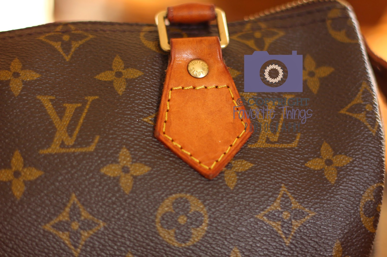 journeys with jax and oliver My Louis Vuitton