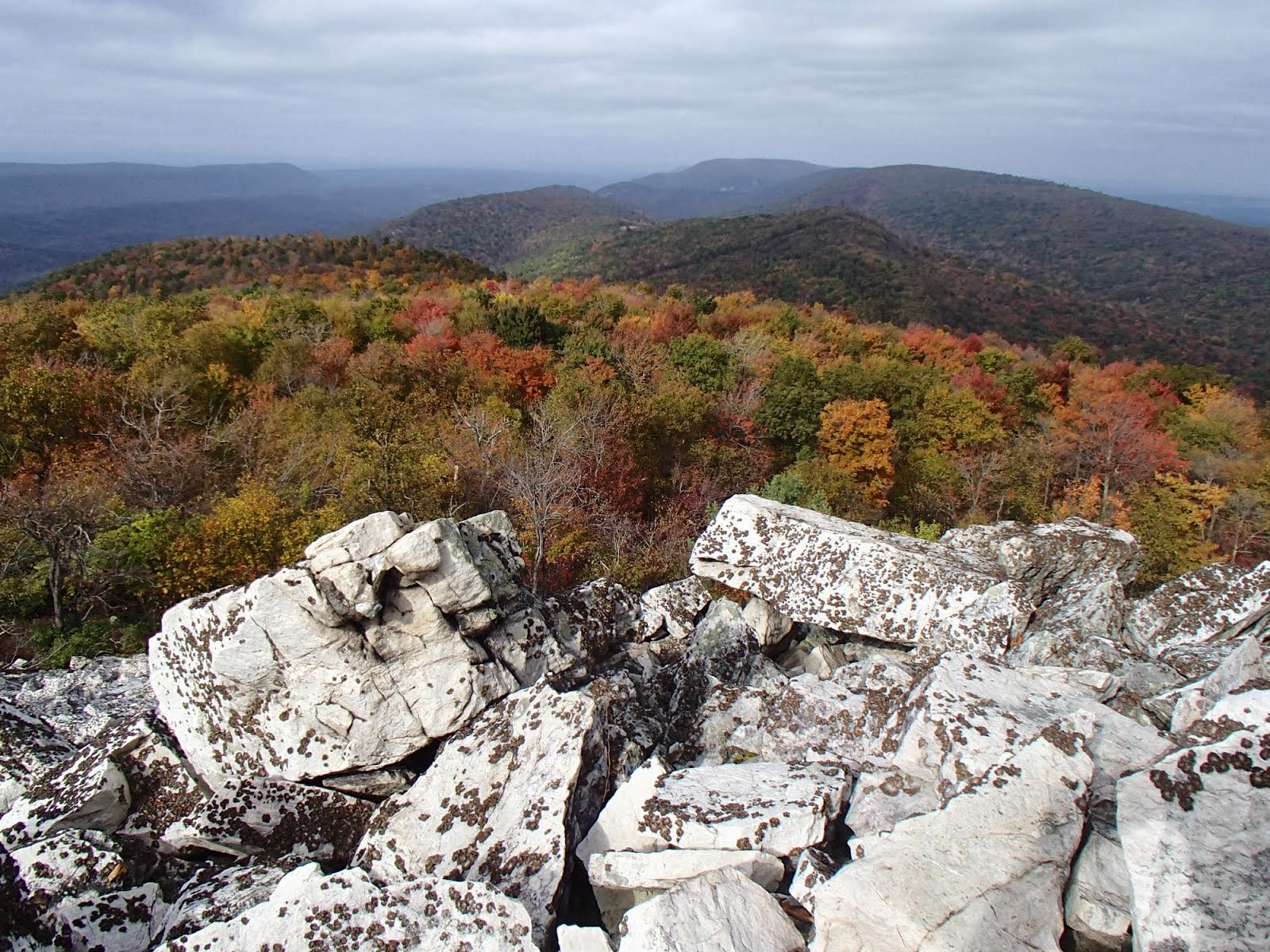 Throne Room Pennsylvania