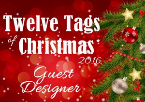 Guest Designer 2016