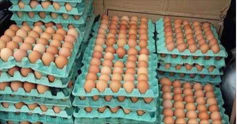 Dupla de moto assalta vendedores de ovos  em Delmiro Gouveia e levam R$ 1200 reais 