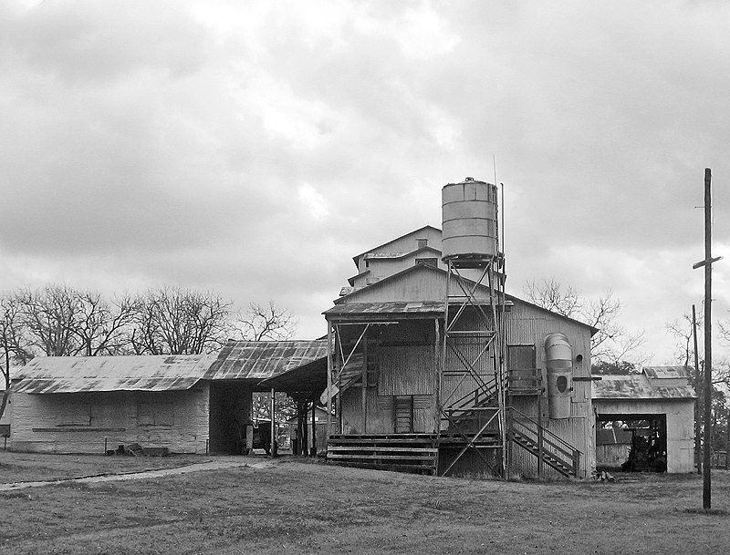 Sweethearts Of The West THE COTTON GIN